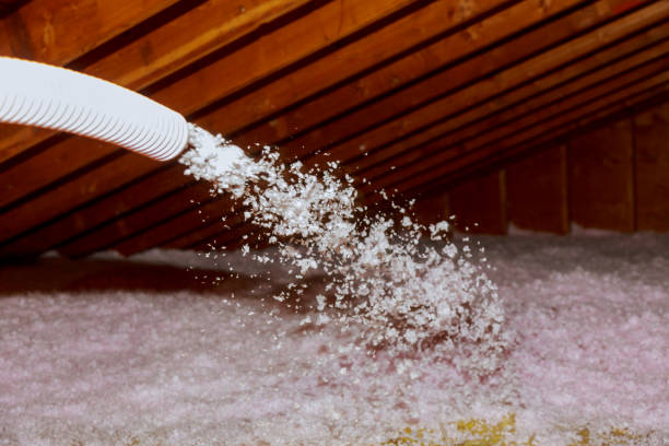 Types of Insulation We Offer in Topanga, CA