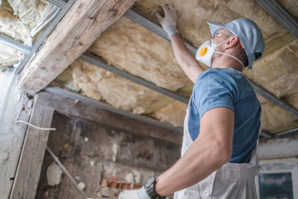Best Spray Foam Insulation in Topanga, CA