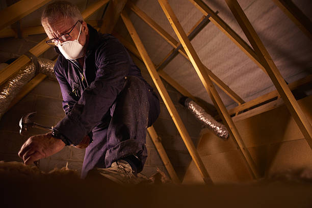Professional Insulation Contractor in Topanga, CA