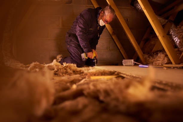 Best Residential Insulation in Topanga, CA
